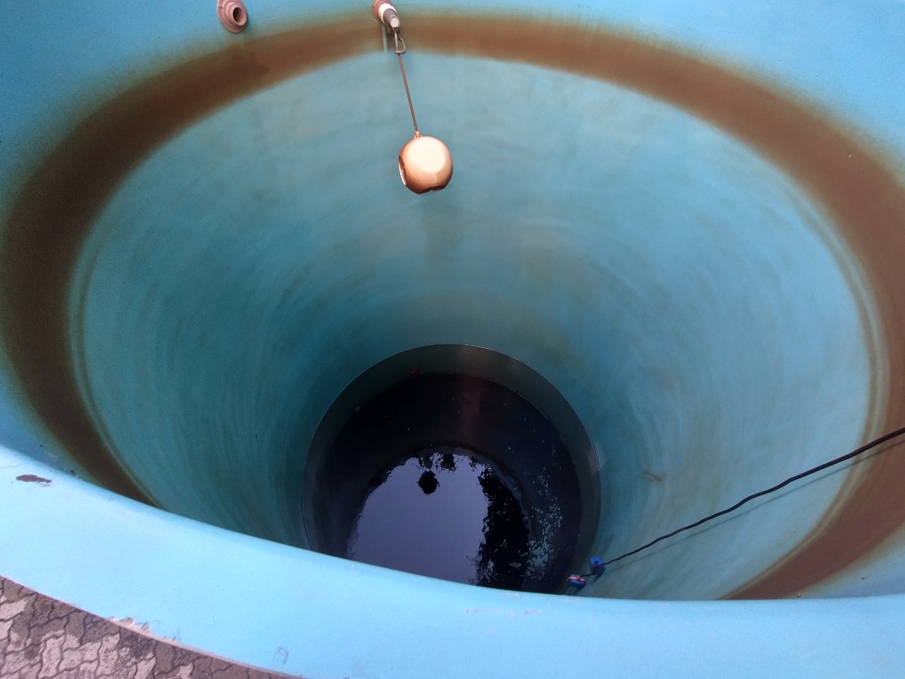 WhatsApp Image 2021-11-08 at 12.03.33 WhatsApp Image 2021-11-08 at 12.03.33