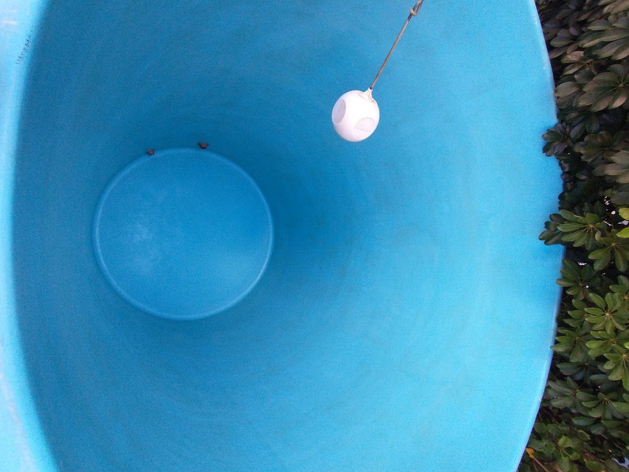 WhatsApp Image 2021-11-08 at 12.03.34