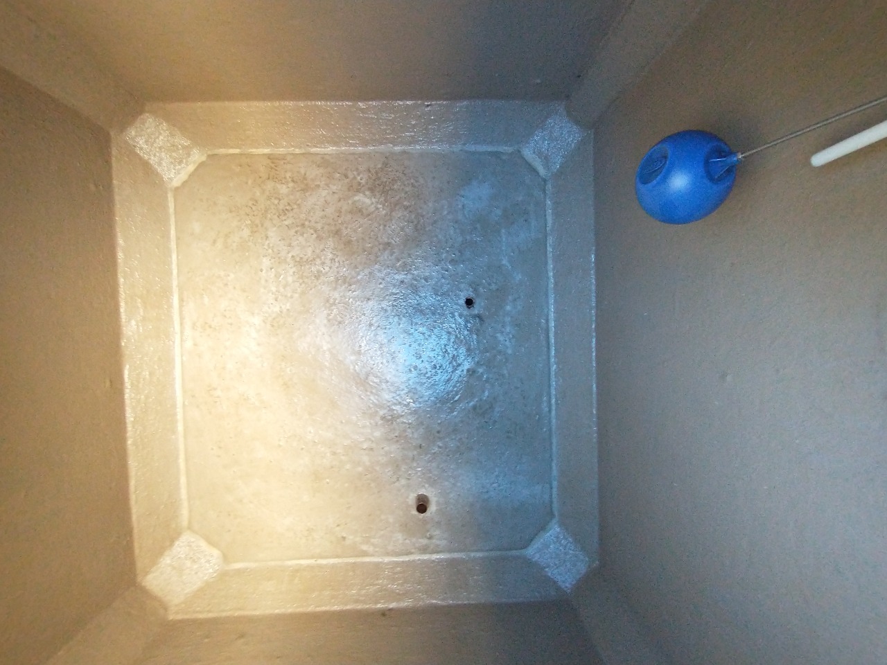 WhatsApp Image 2021-11-08 at 12.03.36